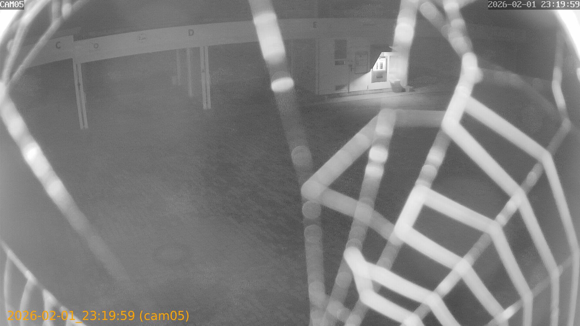 thumbnail_202602012319