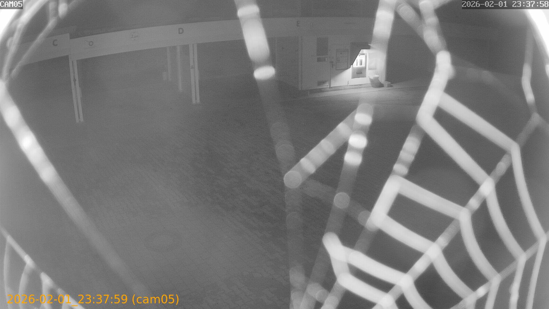 thumbnail_202602012337