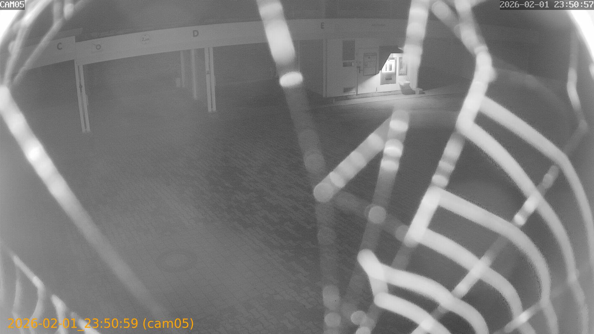 thumbnail_202602012350