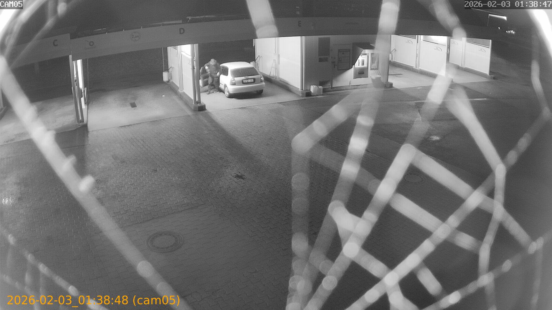 thumbnail_20260203013848