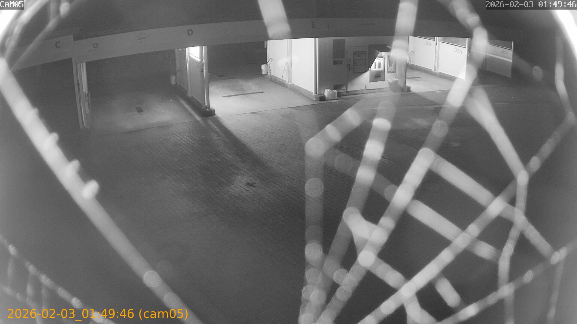 thumbnail_20260203014946