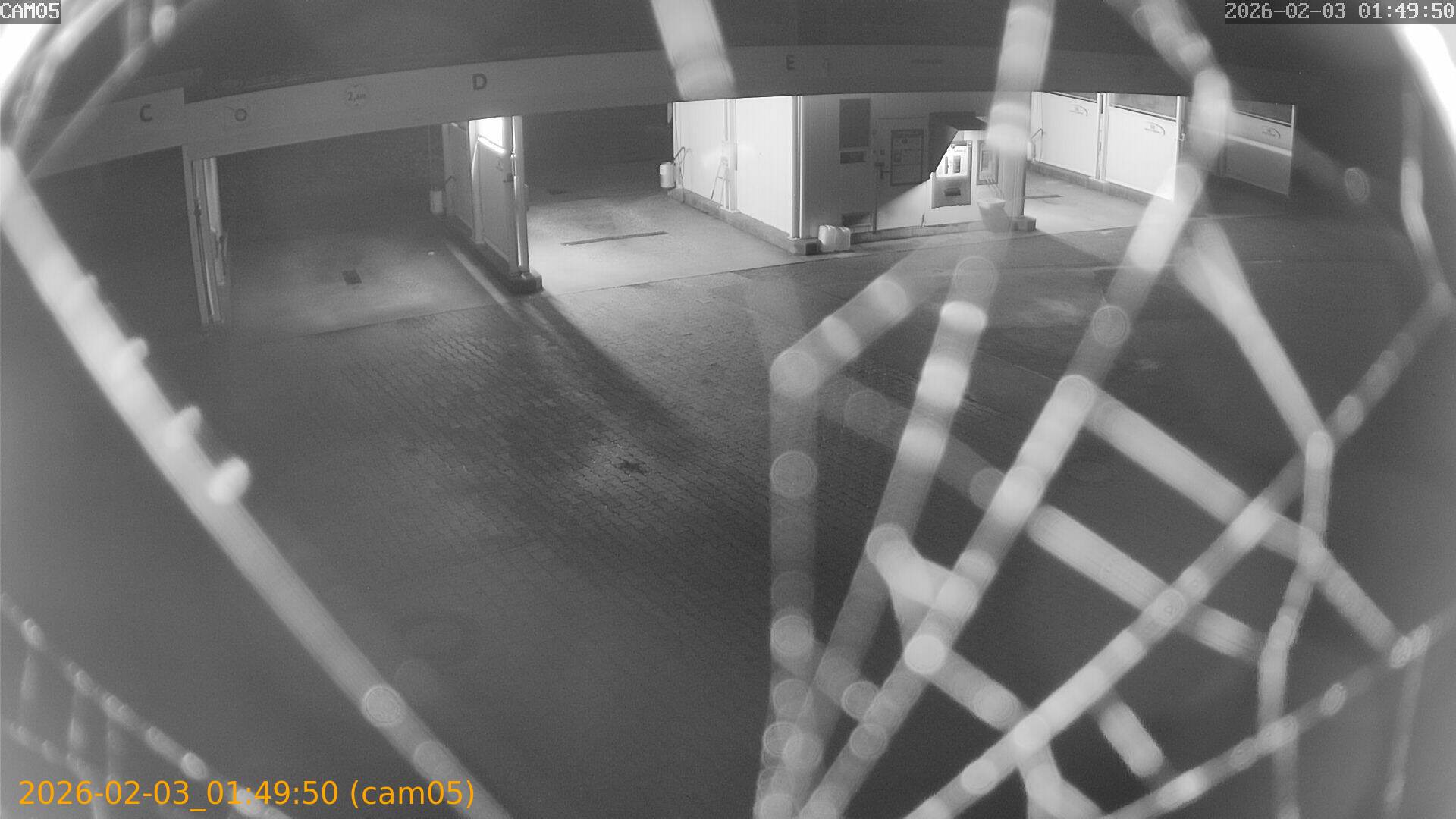 thumbnail_20260203014950