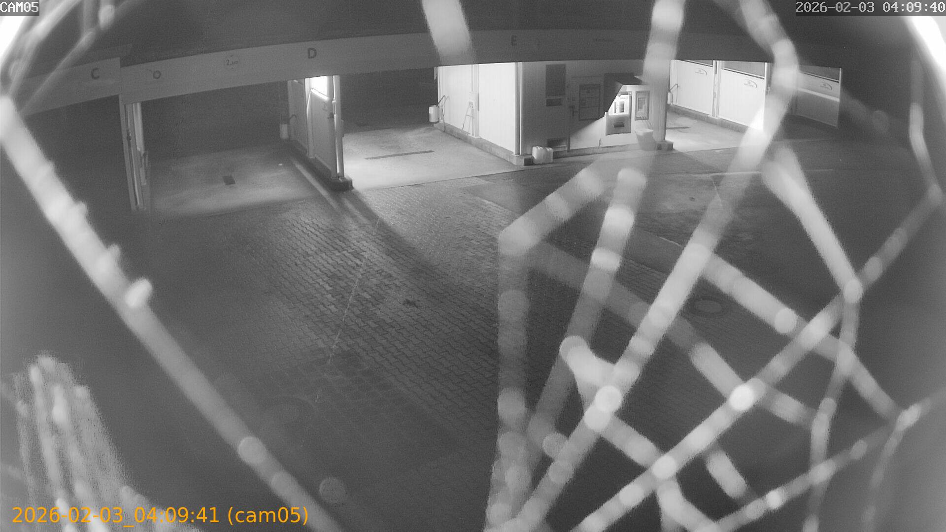 thumbnail_20260203040941