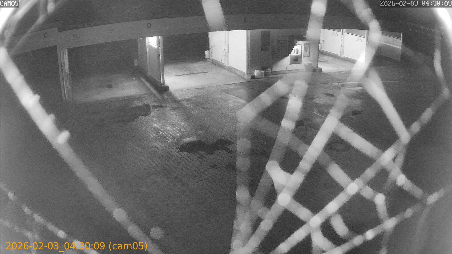 thumbnail_20260203043009