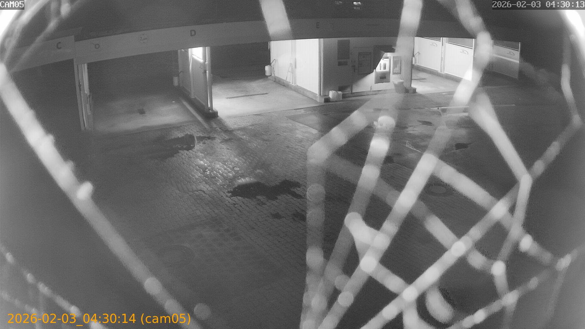 thumbnail_20260203043014