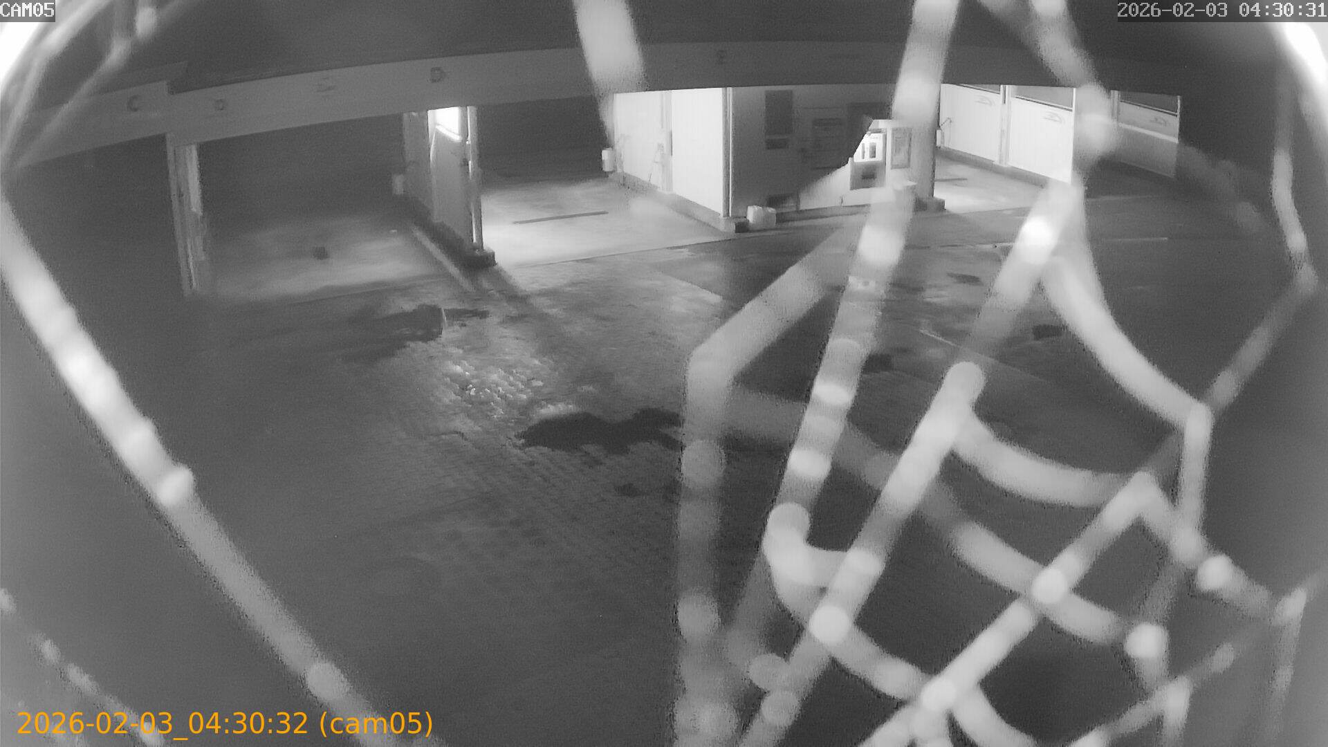 thumbnail_20260203043032