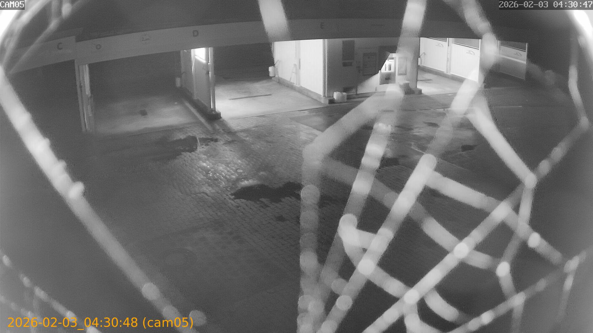 thumbnail_20260203043048