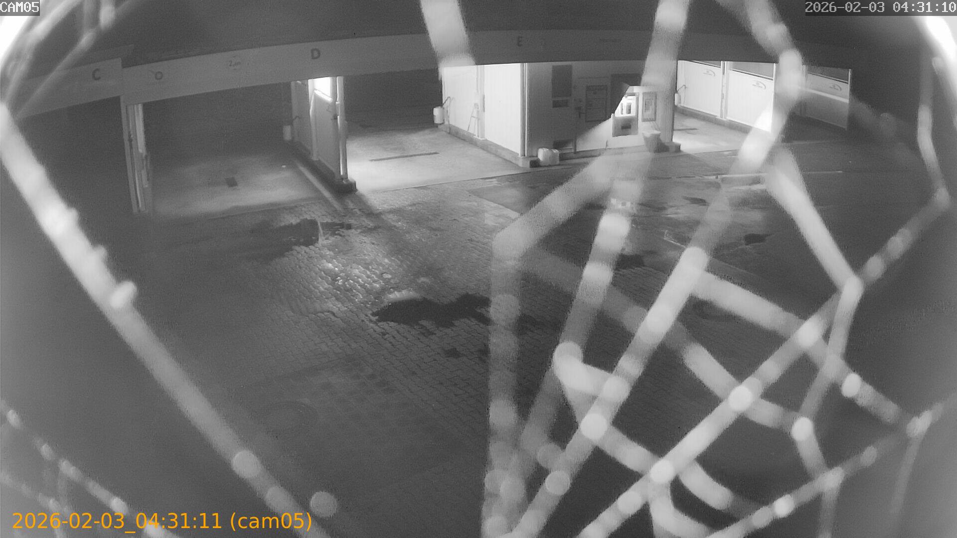 thumbnail_20260203043111