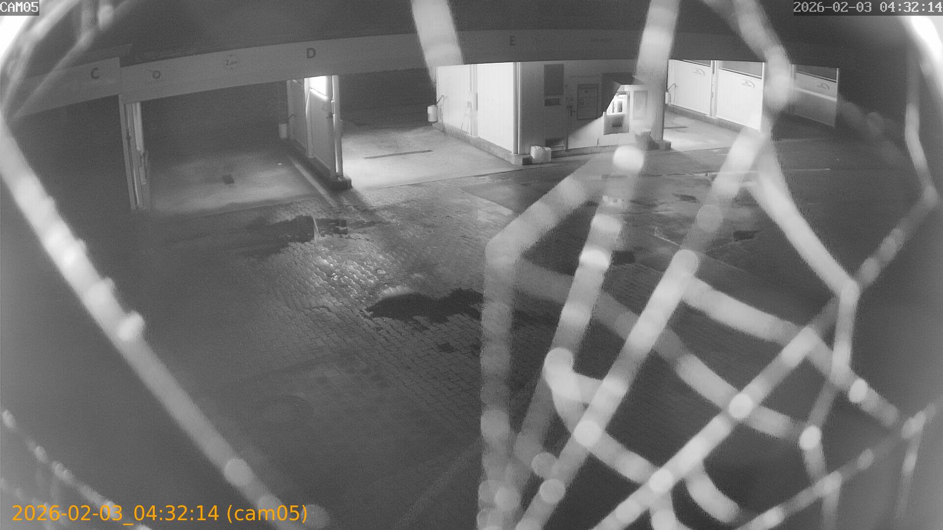 thumbnail_20260203043214