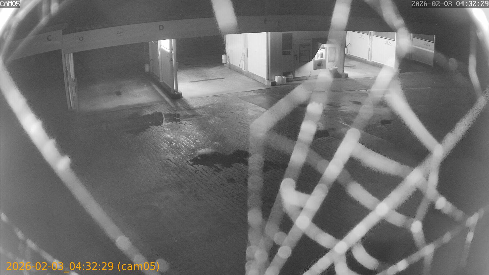 thumbnail_20260203043229