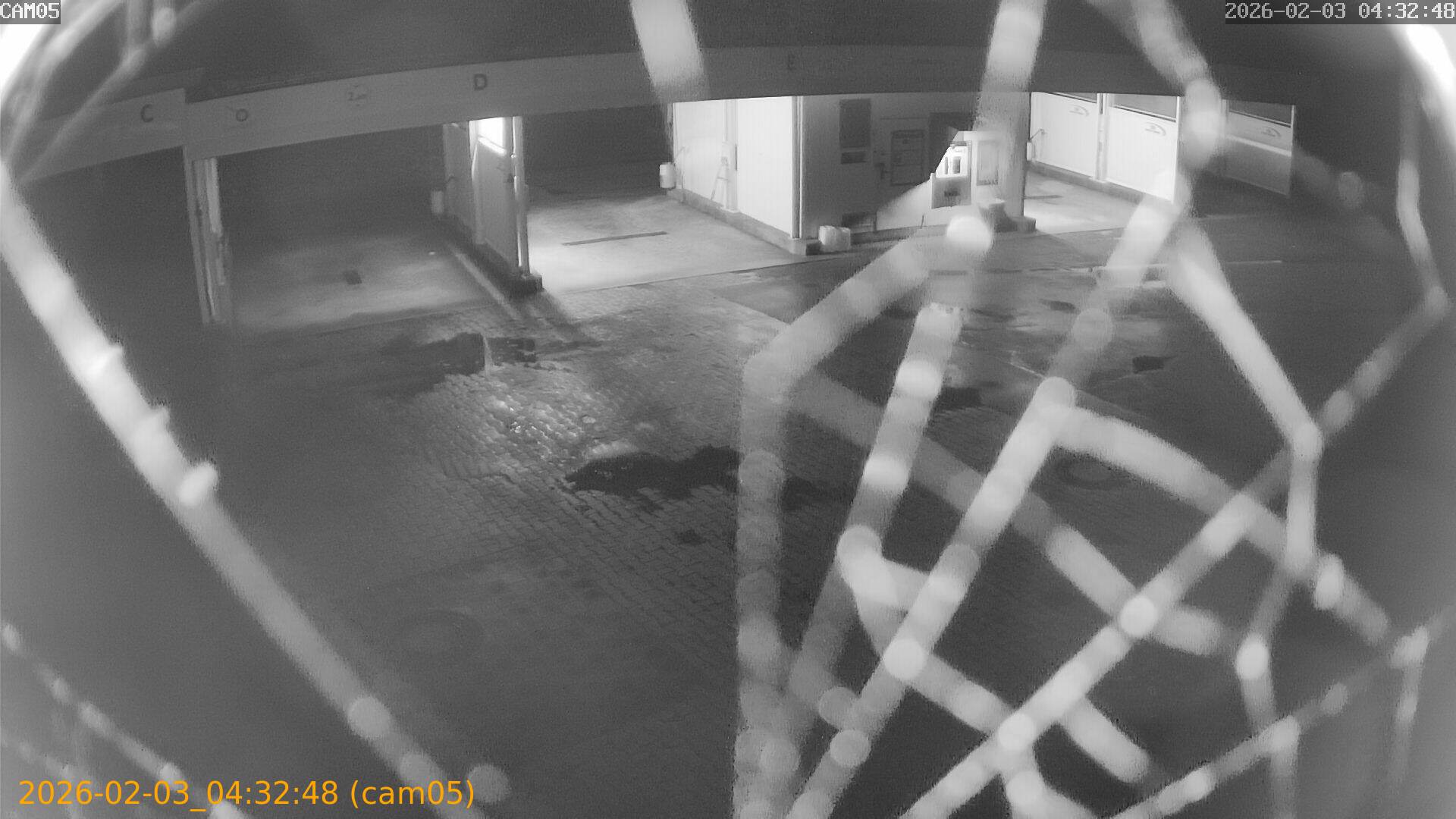 thumbnail_20260203043248