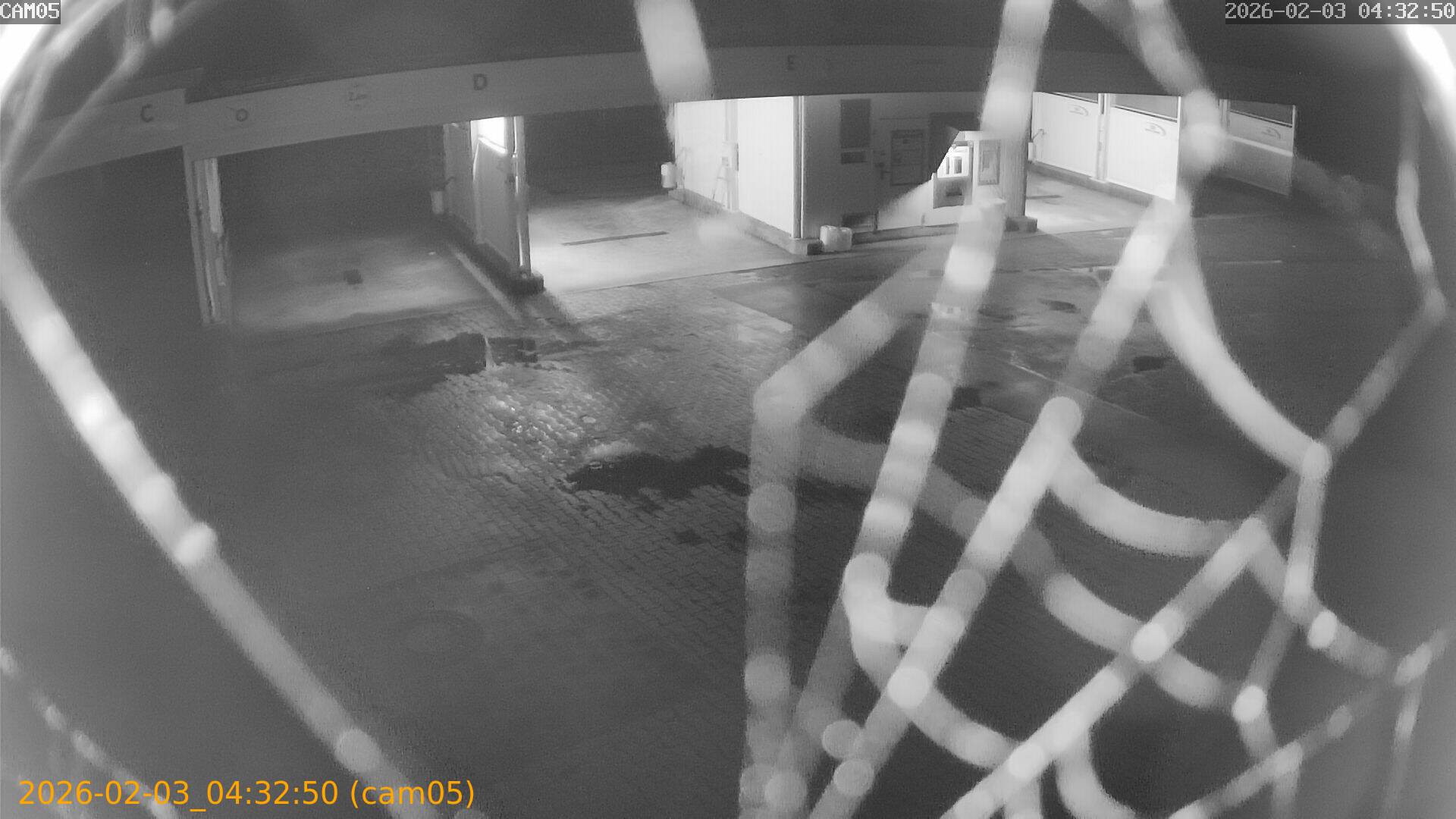 thumbnail_20260203043250