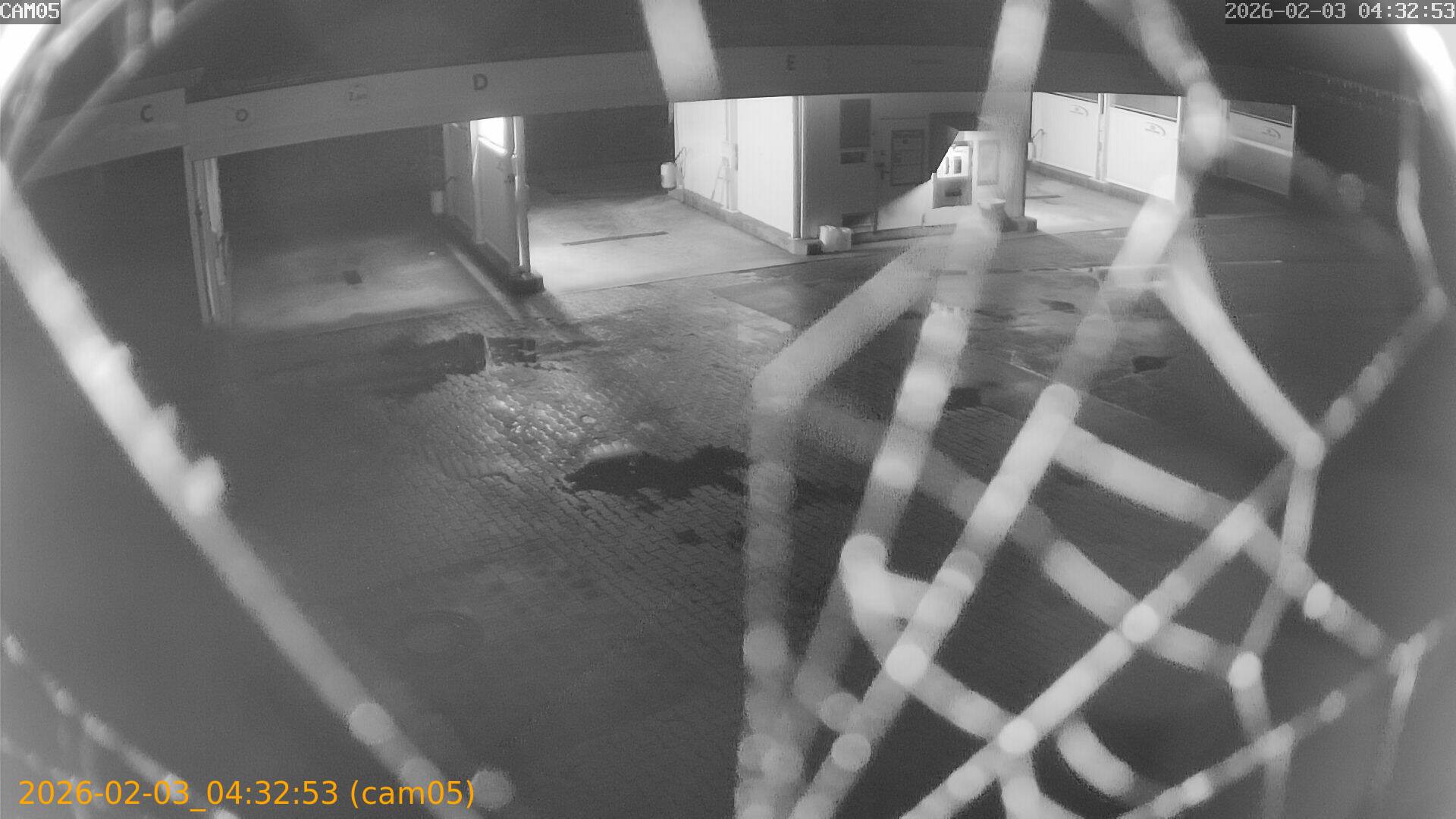 thumbnail_20260203043253