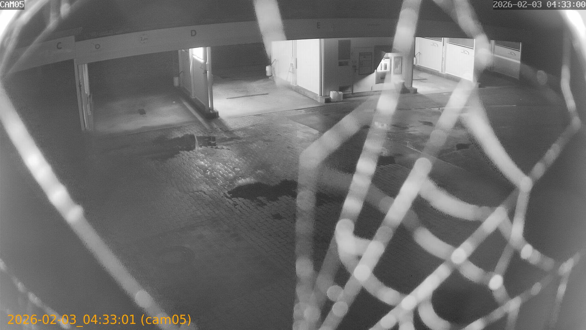 thumbnail_20260203043301