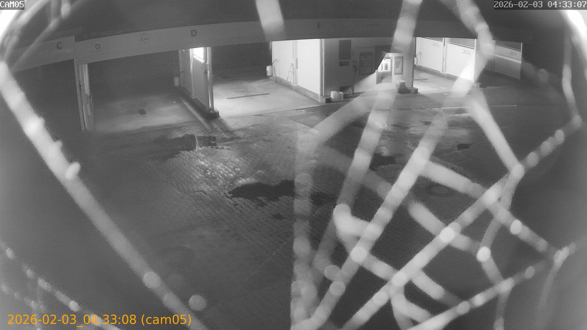 thumbnail_20260203043308