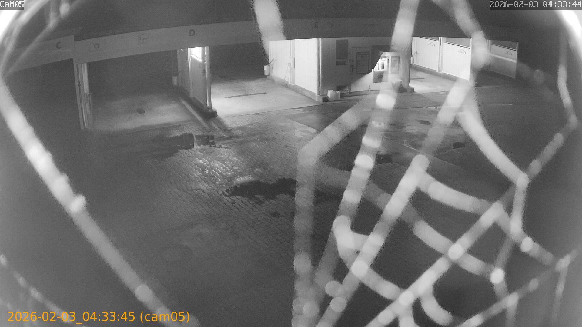 thumbnail_20260203043345