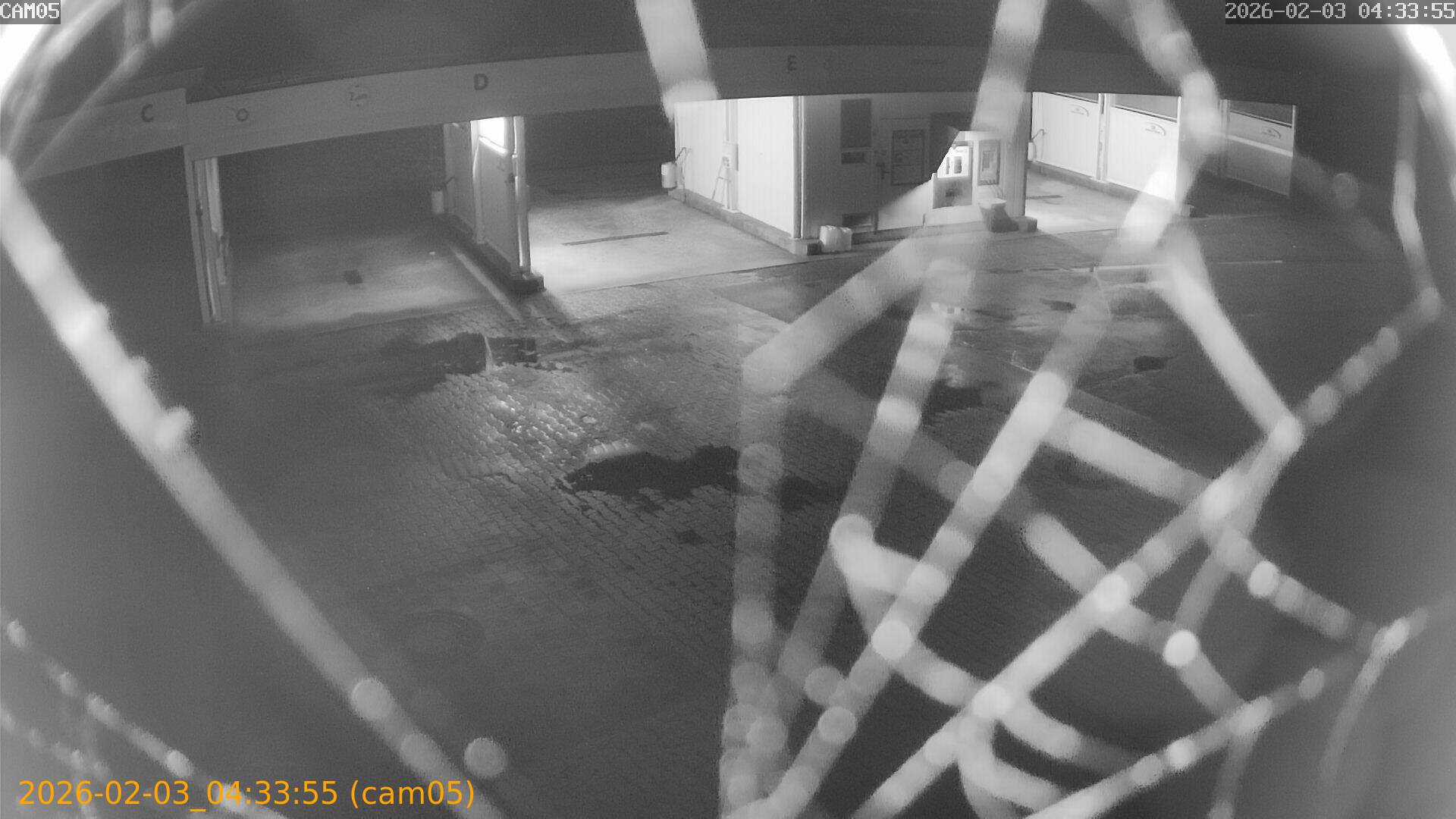 thumbnail_20260203043355