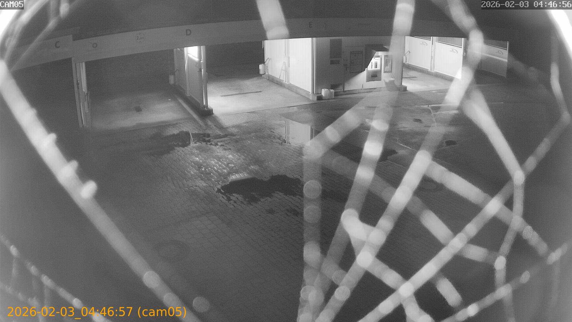 thumbnail_20260203044657