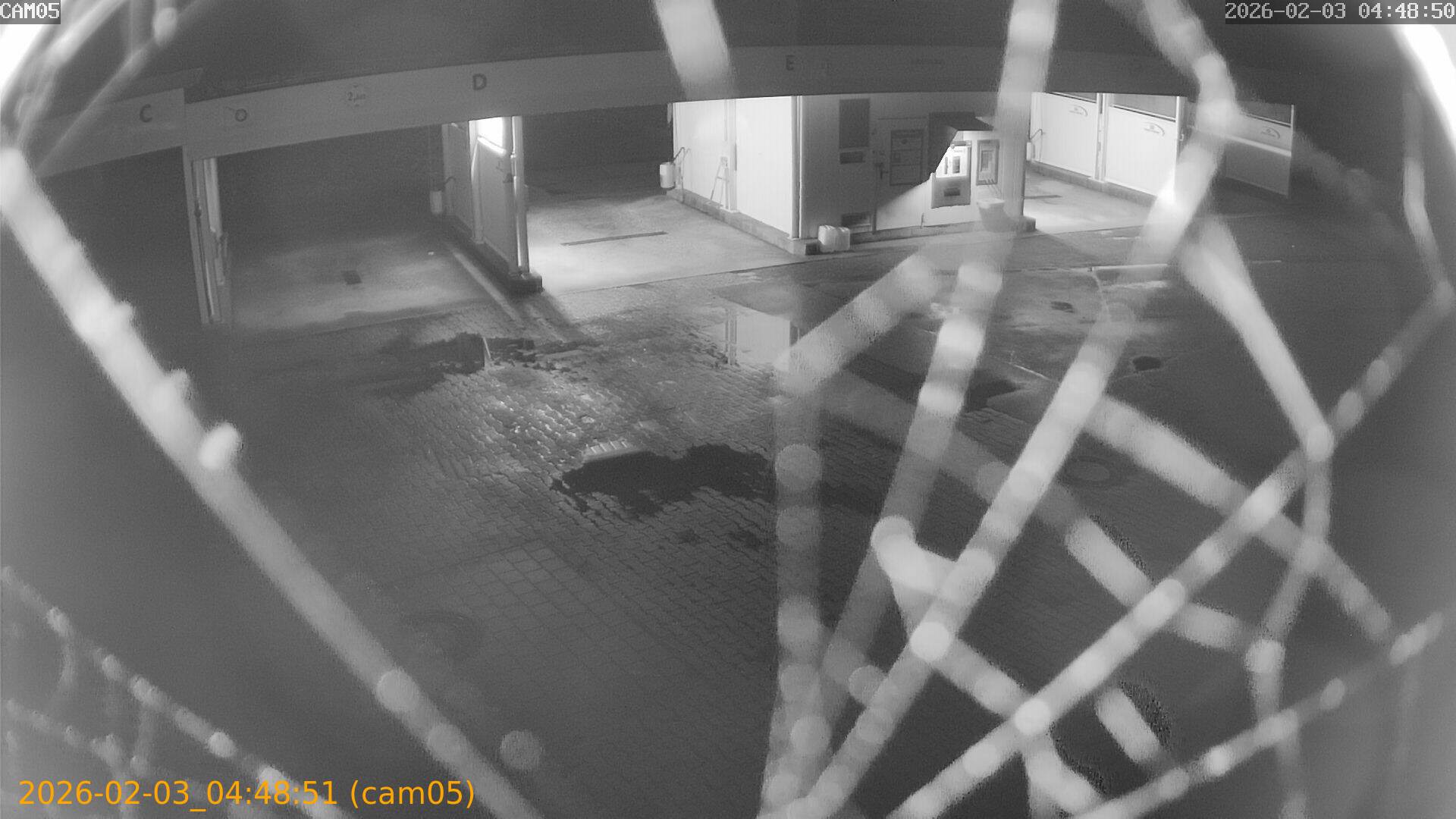 thumbnail_20260203044851