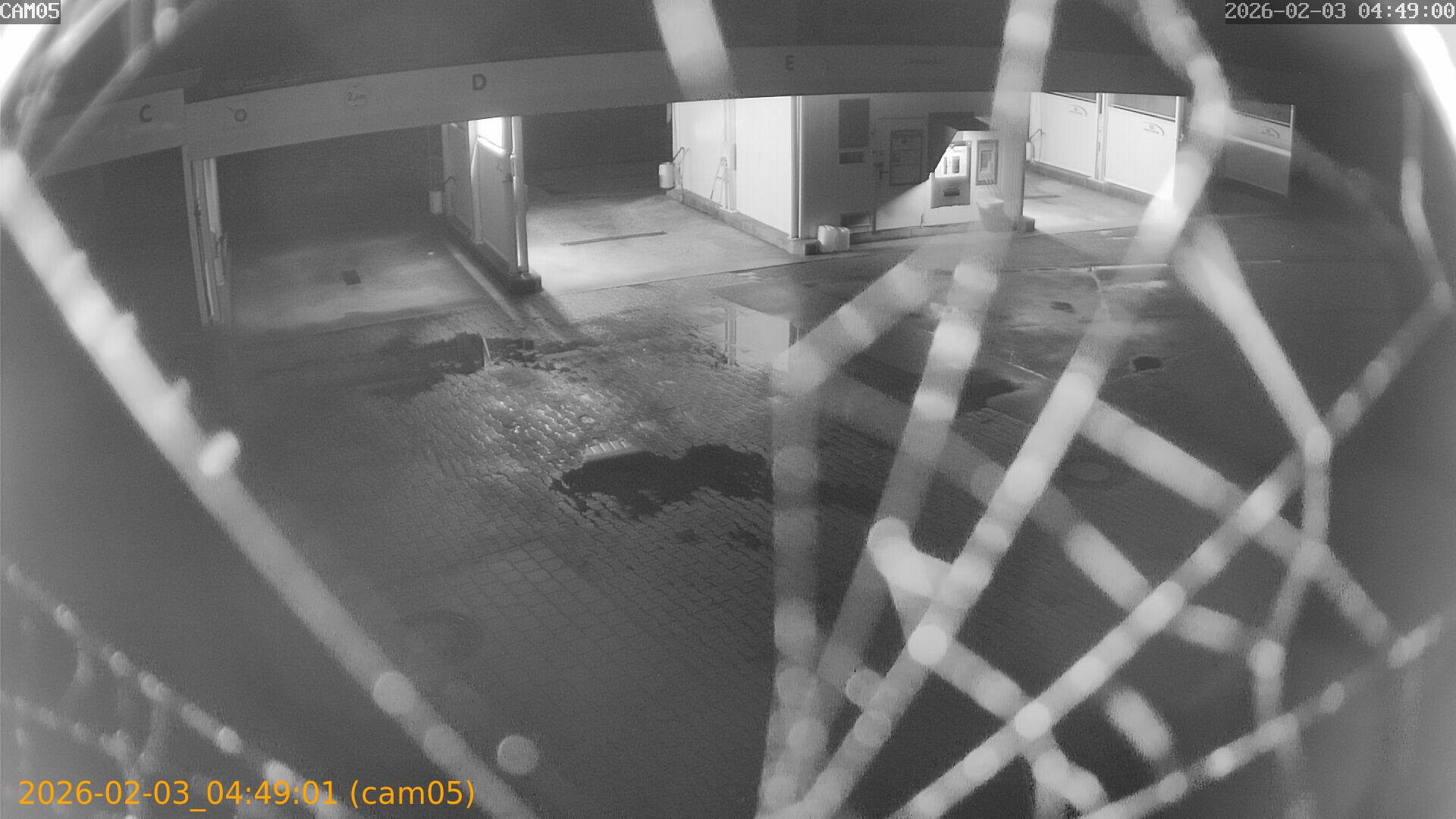 thumbnail_20260203044901