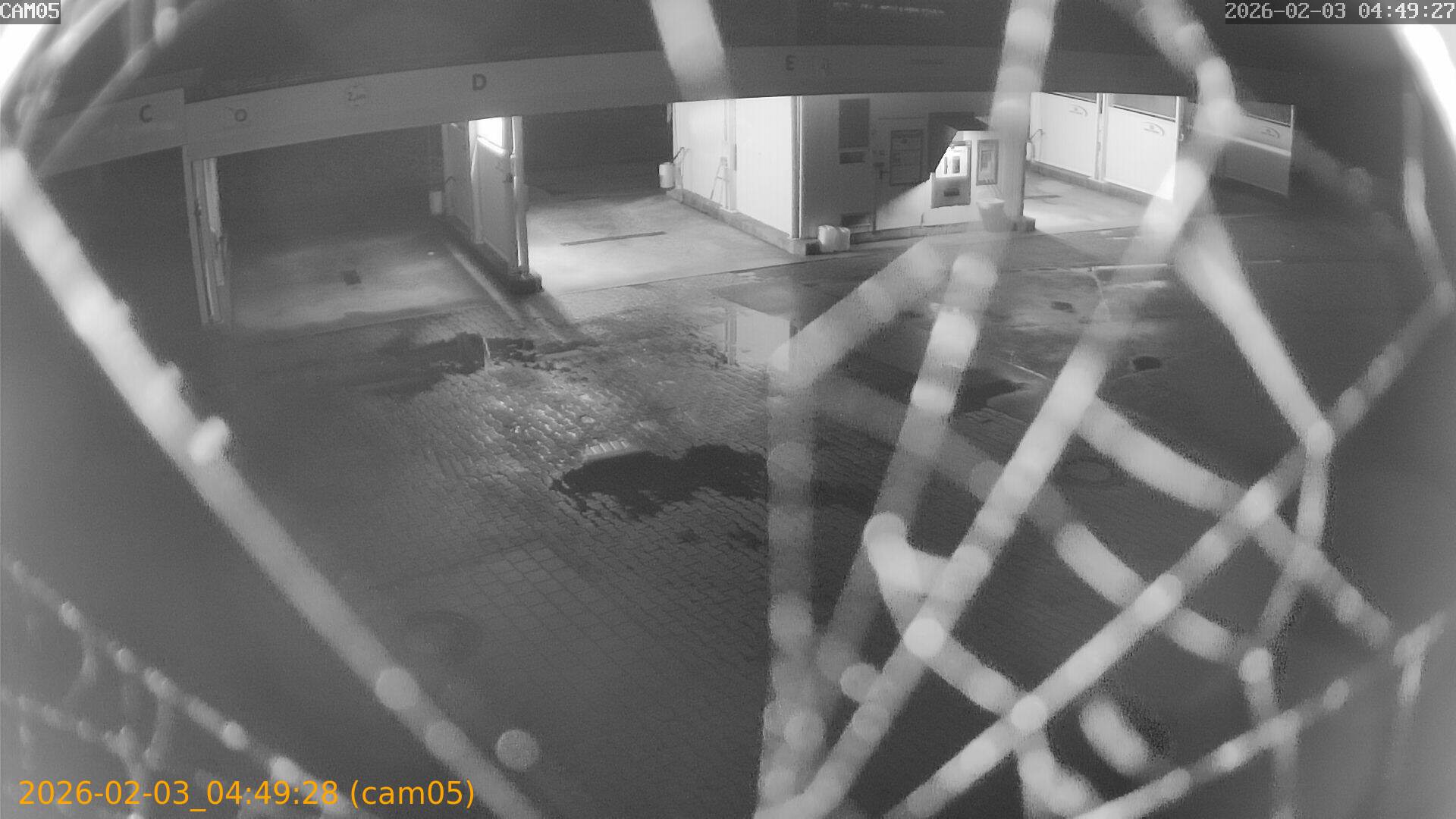 thumbnail_20260203044928