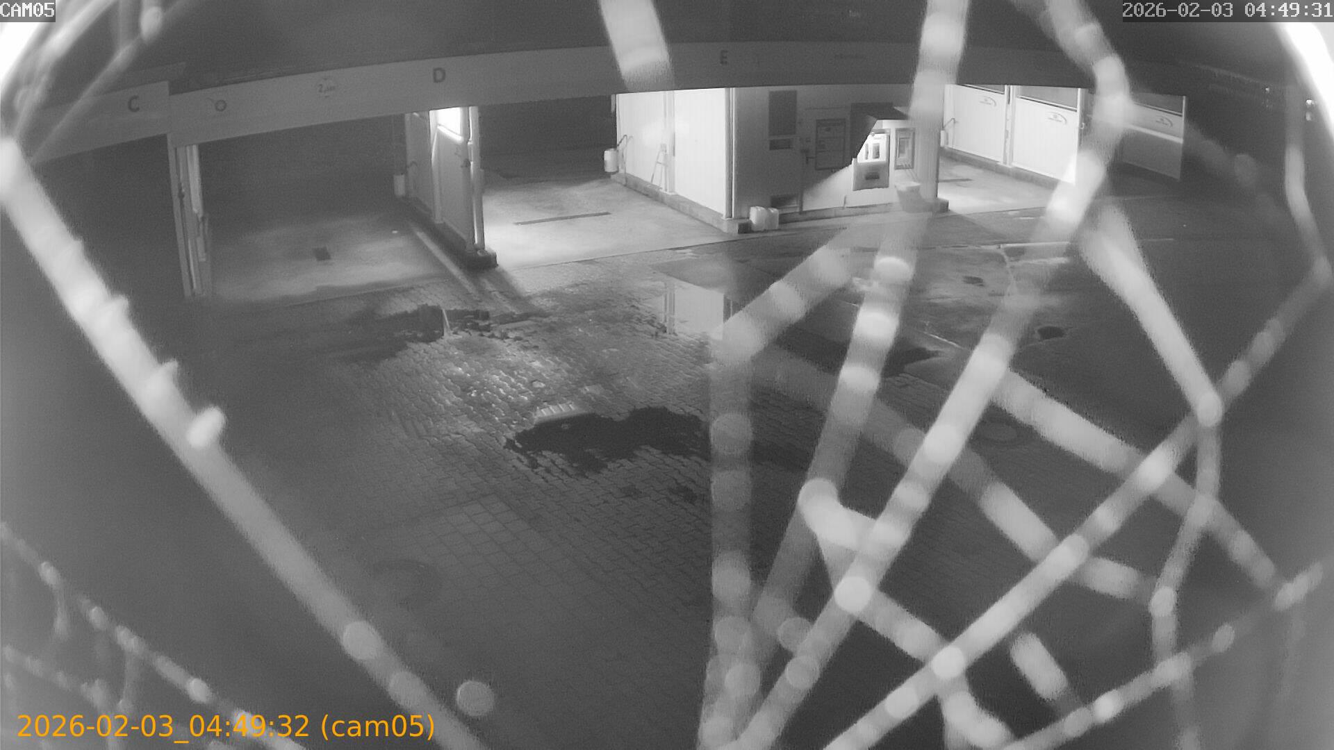 thumbnail_20260203044932