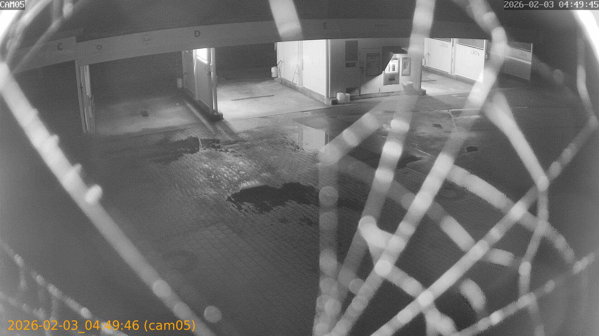 thumbnail_20260203044946