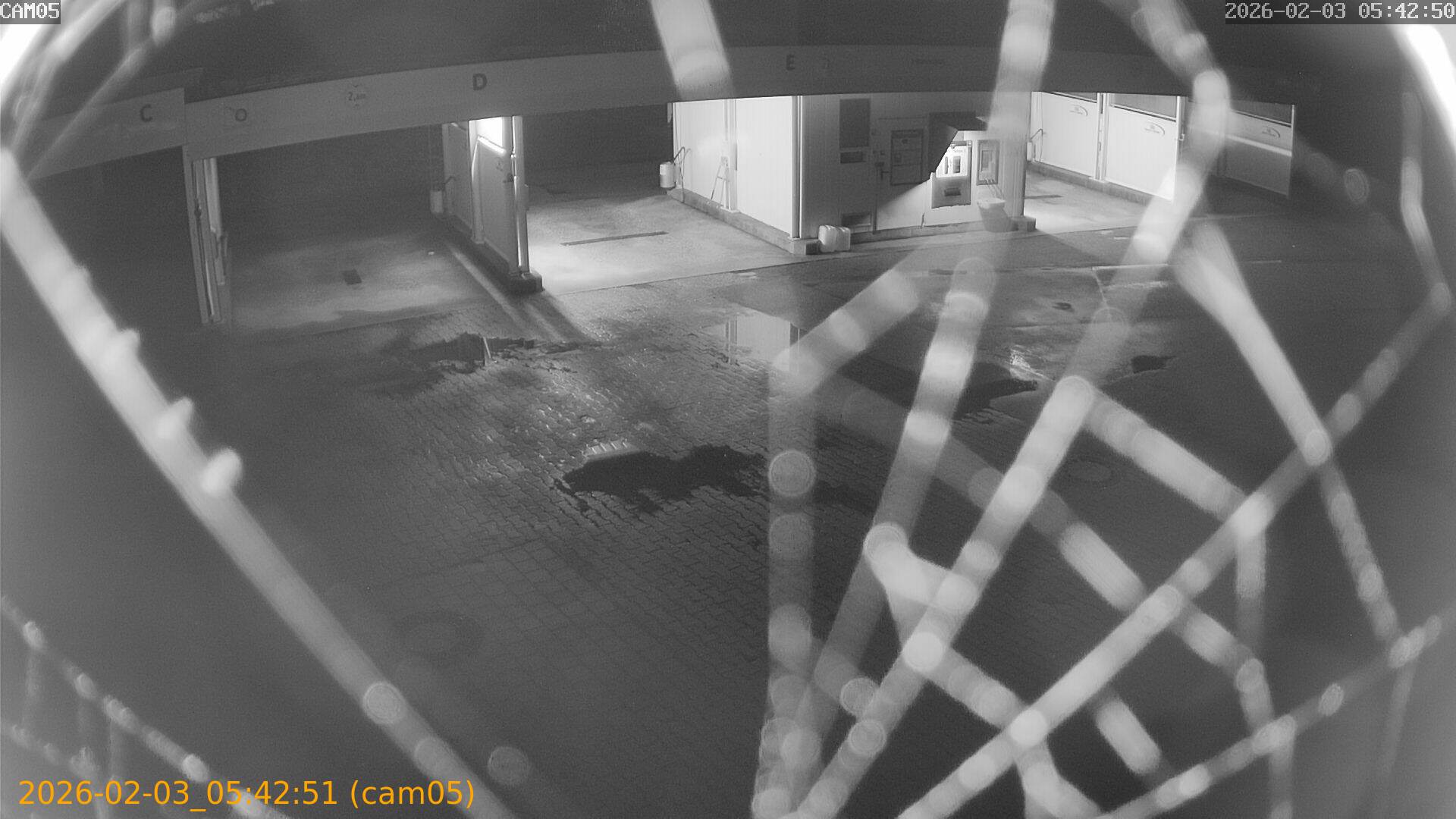 thumbnail_20260203054251