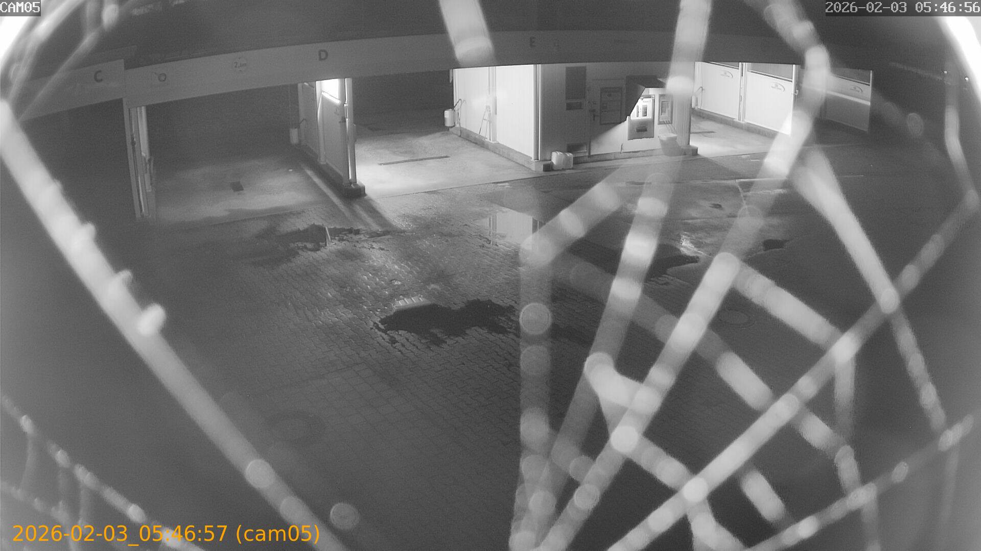 thumbnail_20260203054657