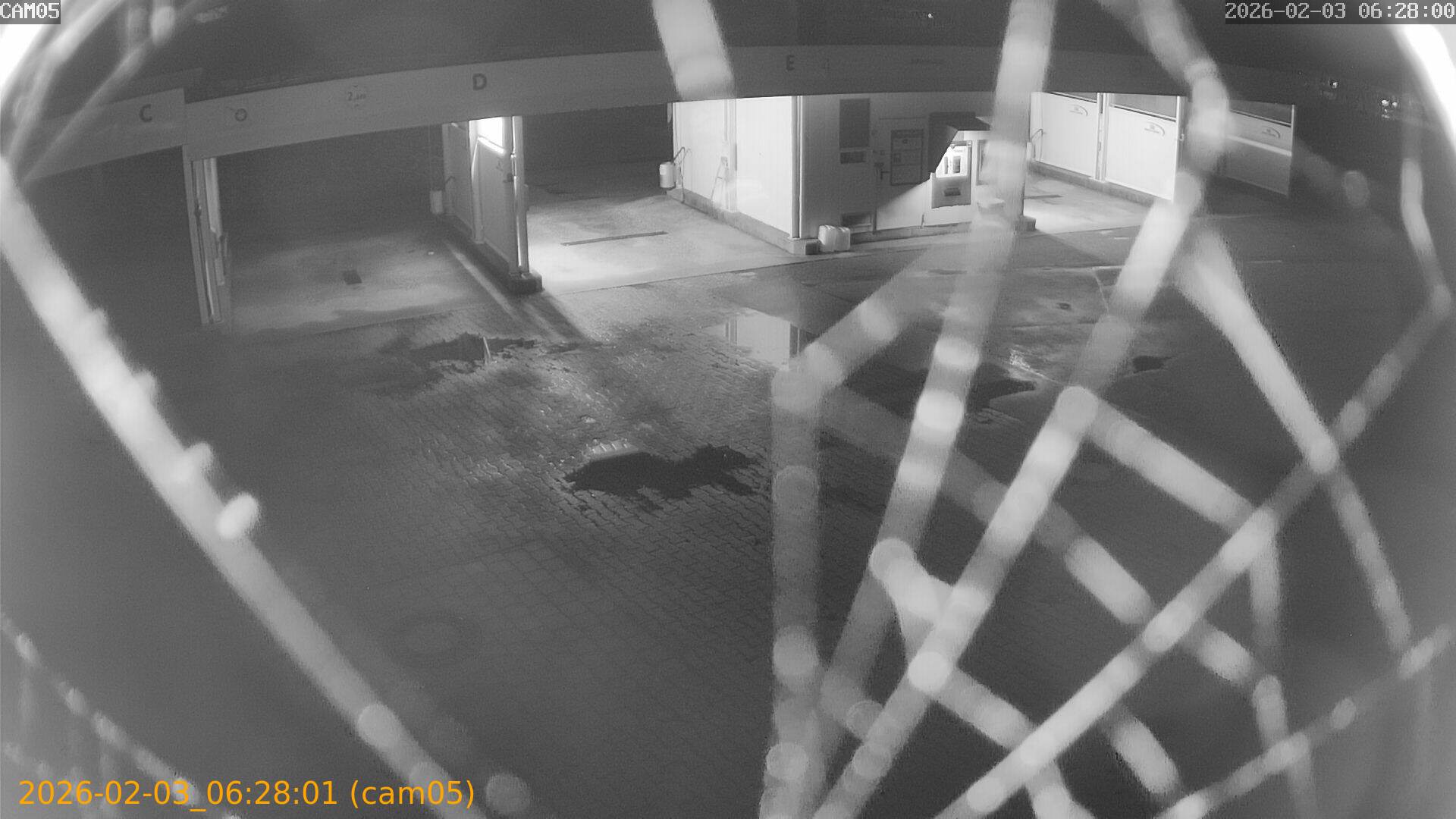 thumbnail_20260203062801