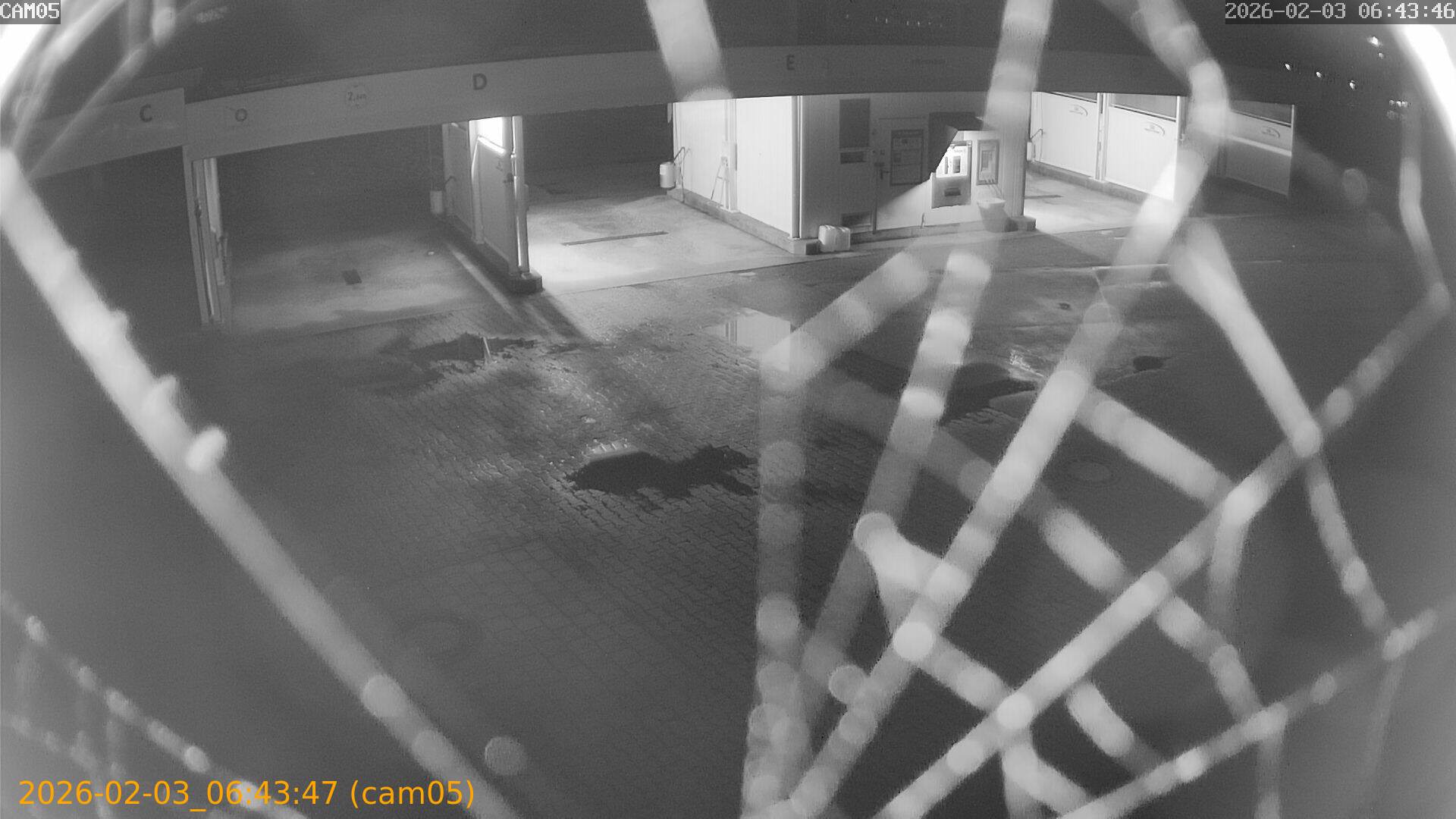 thumbnail_20260203064347