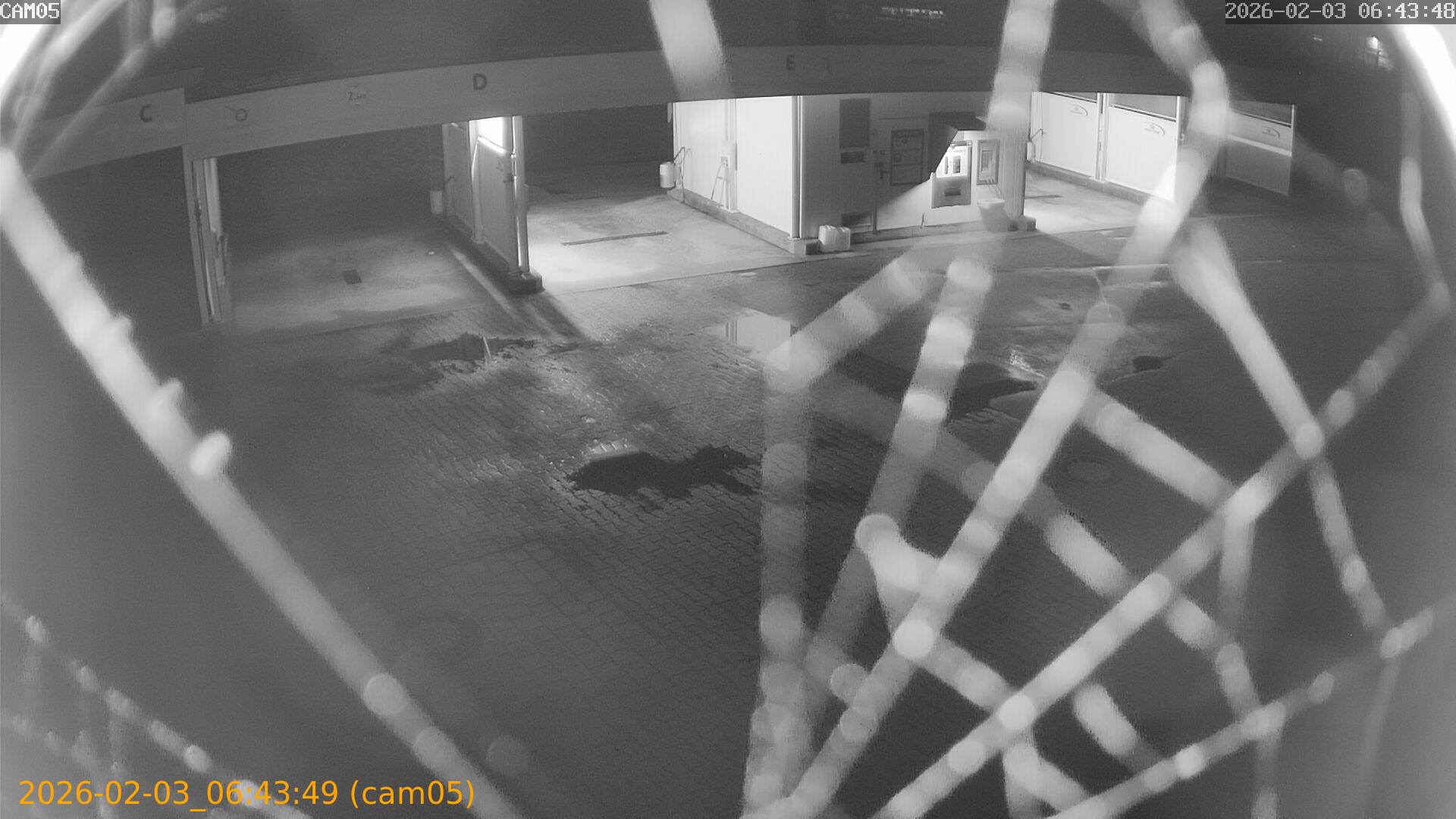 thumbnail_20260203064349