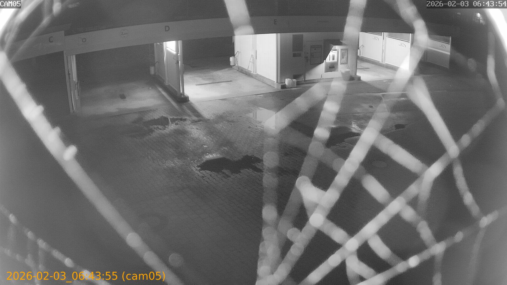 thumbnail_20260203064355