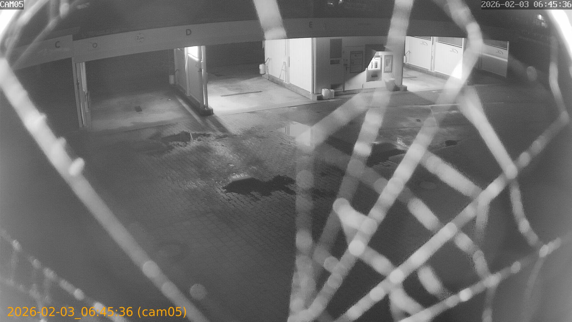 thumbnail_20260203064536