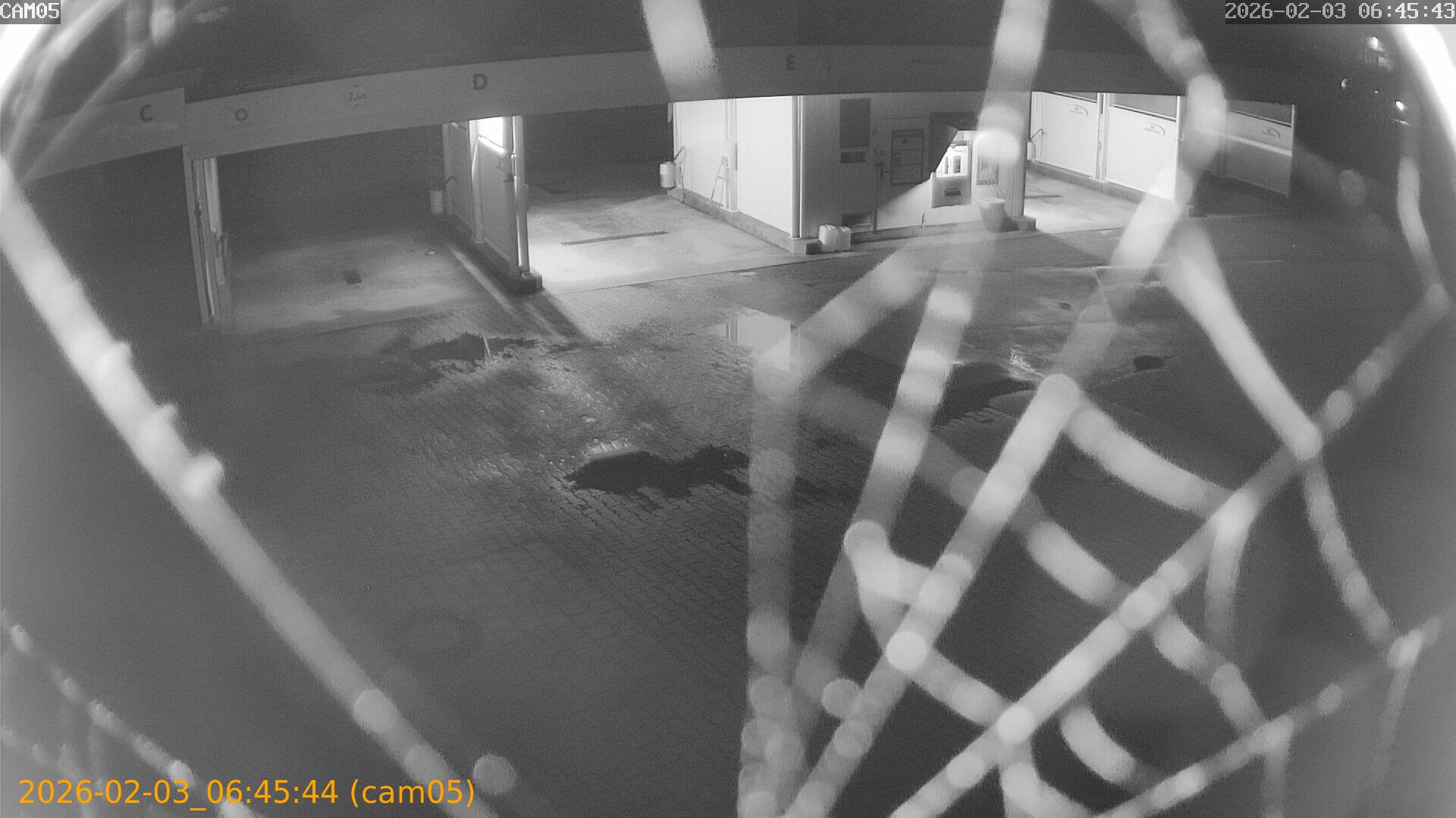 thumbnail_20260203064543