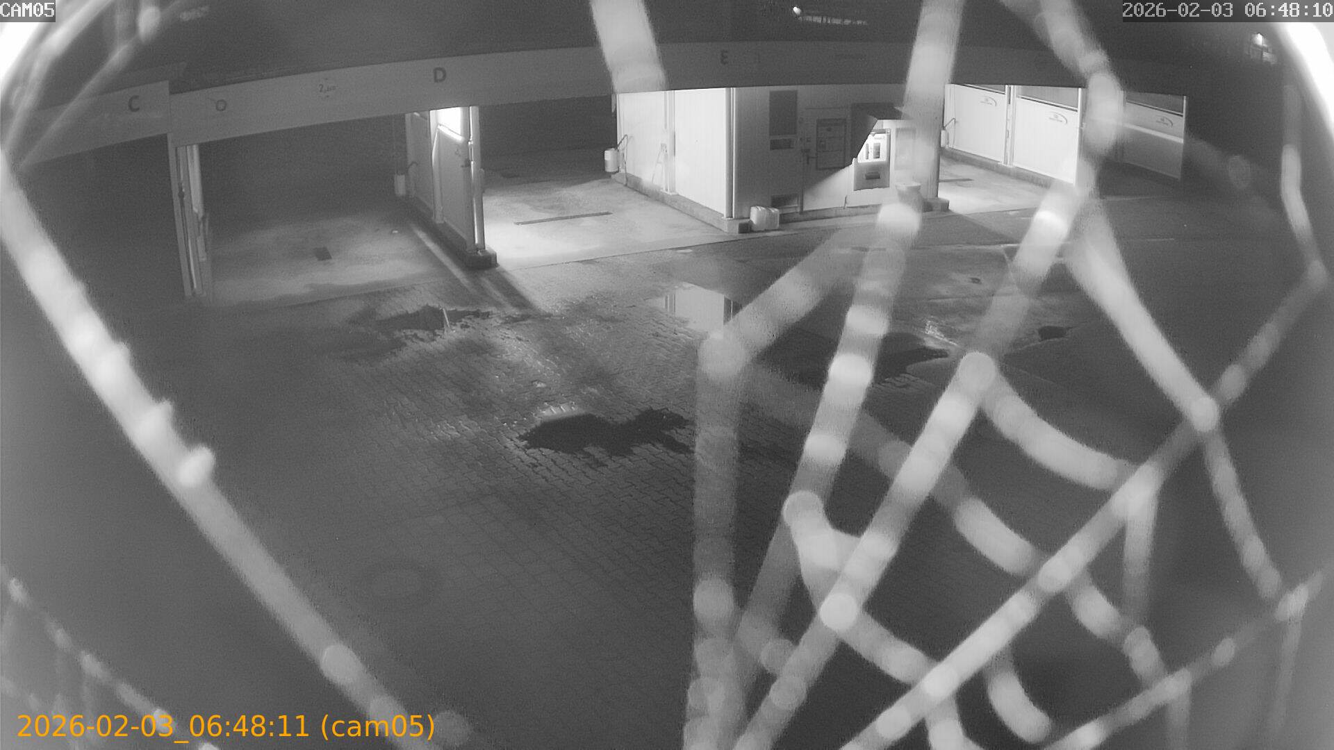 thumbnail_20260203064811