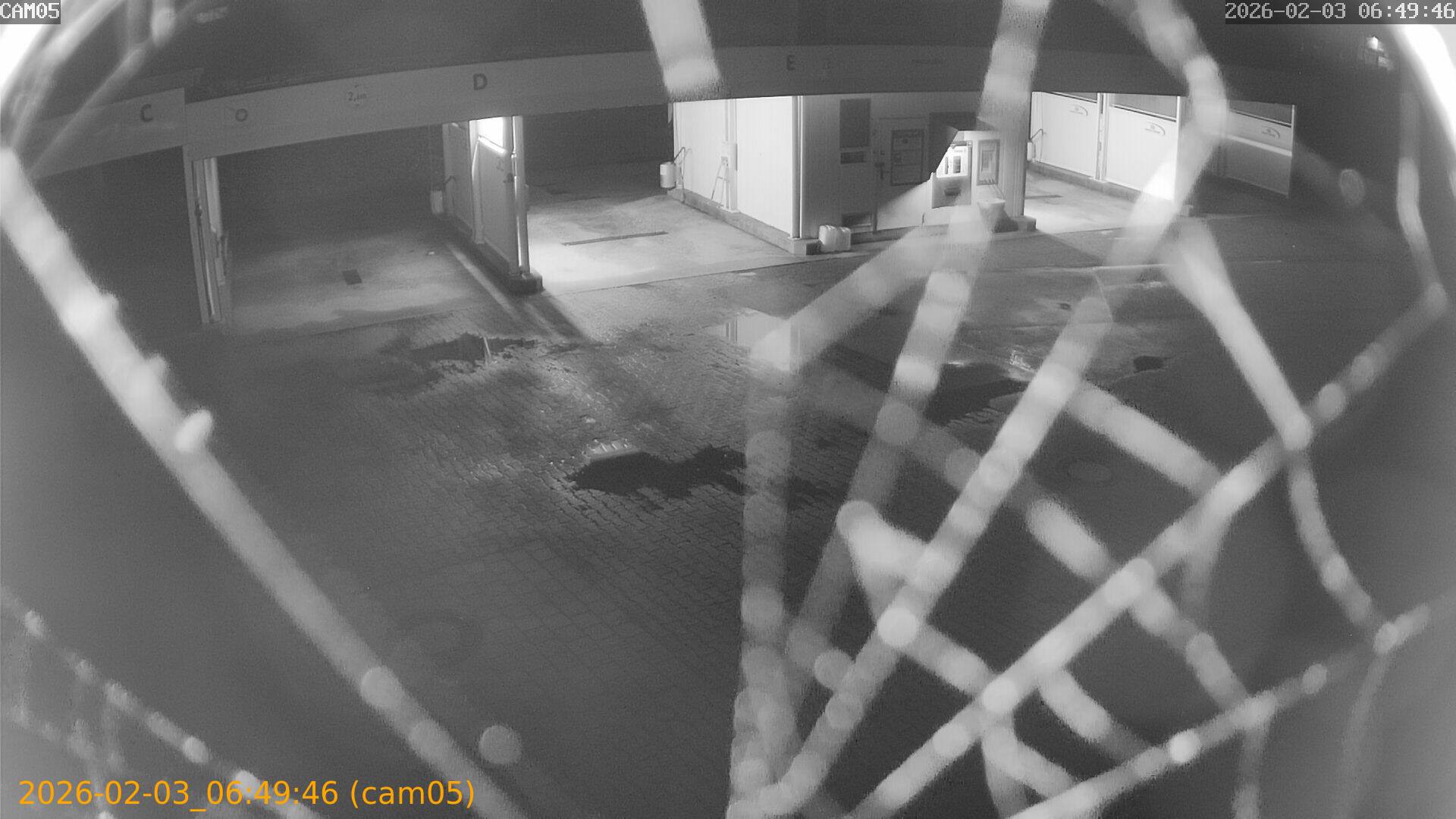 thumbnail_20260203064946