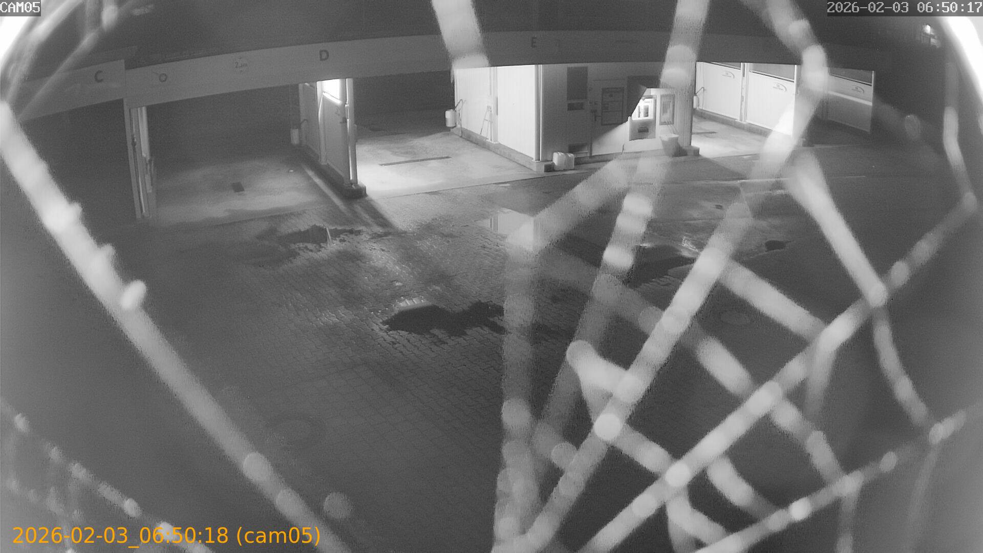 thumbnail_20260203065018