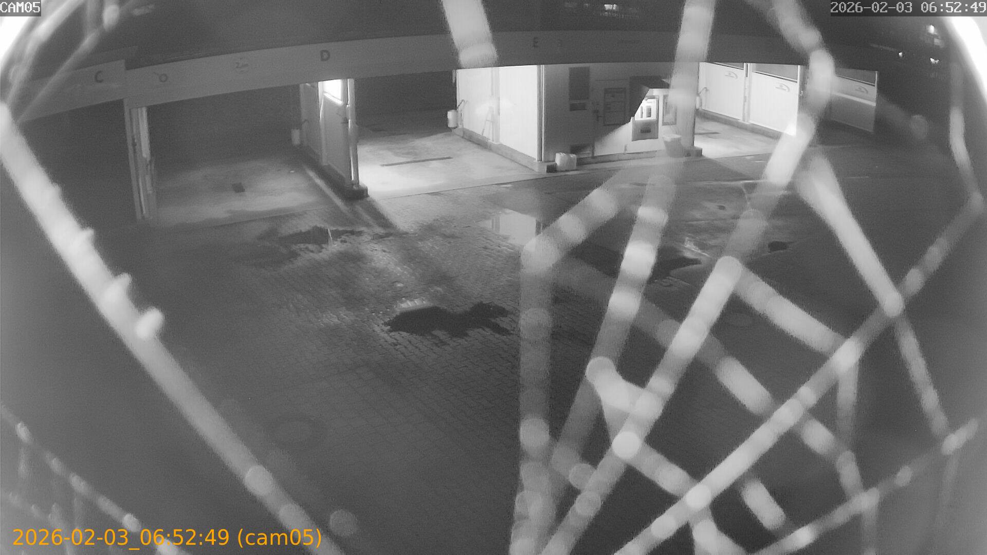 thumbnail_20260203065249