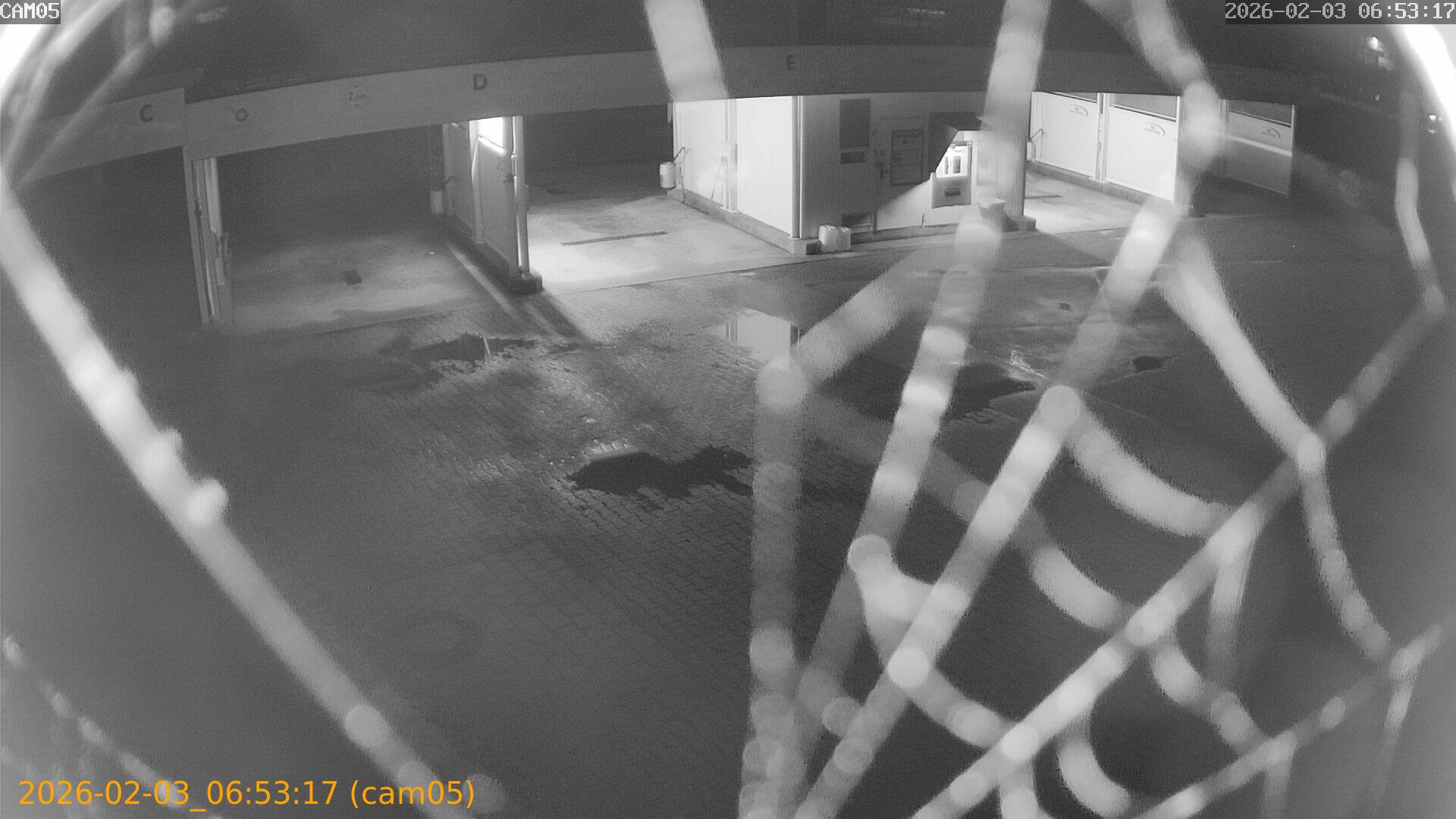 thumbnail_20260203065317