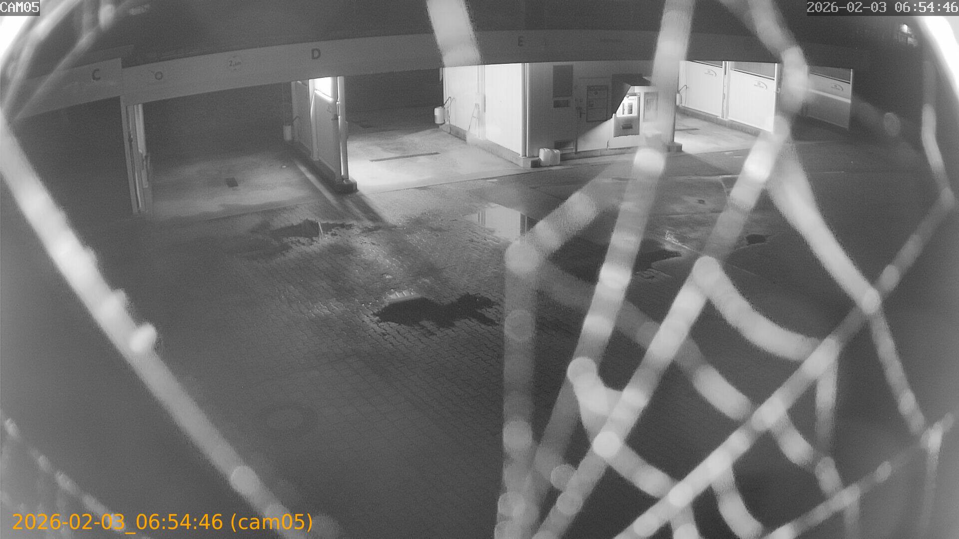 thumbnail_20260203065446