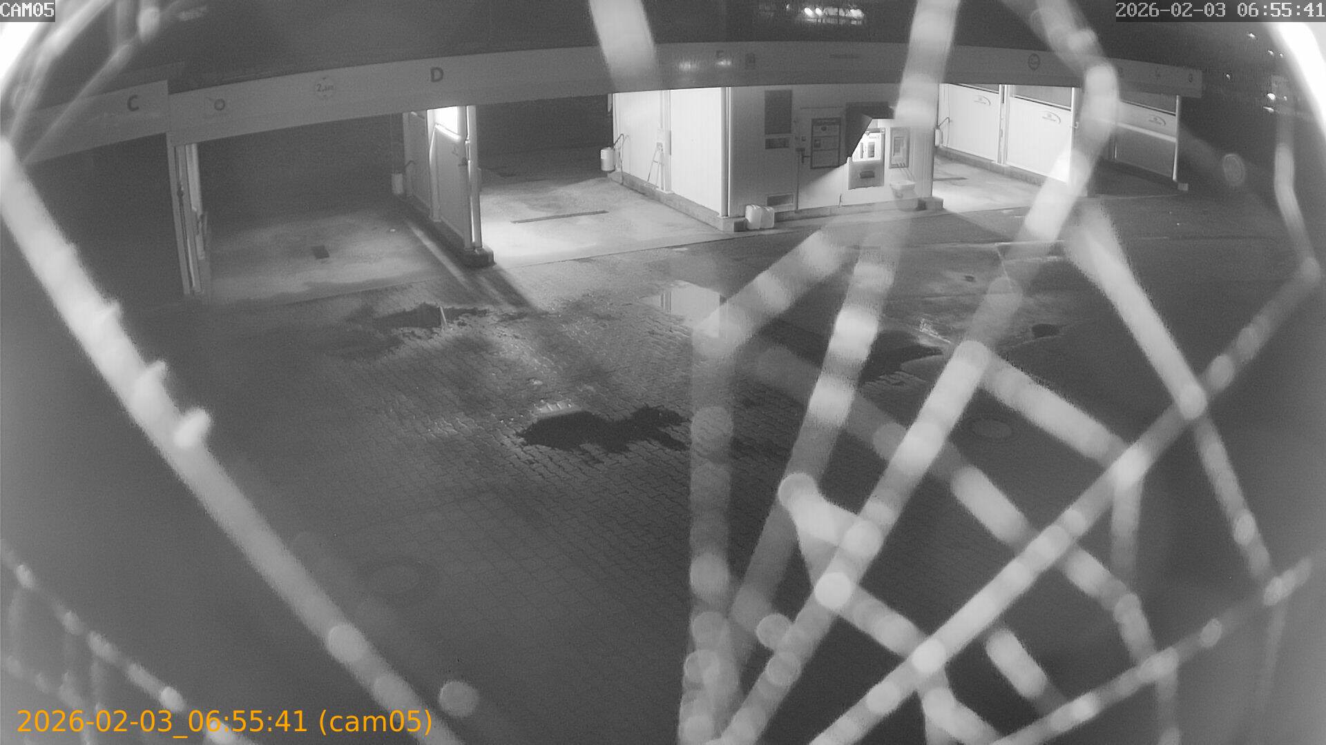 thumbnail_20260203065541