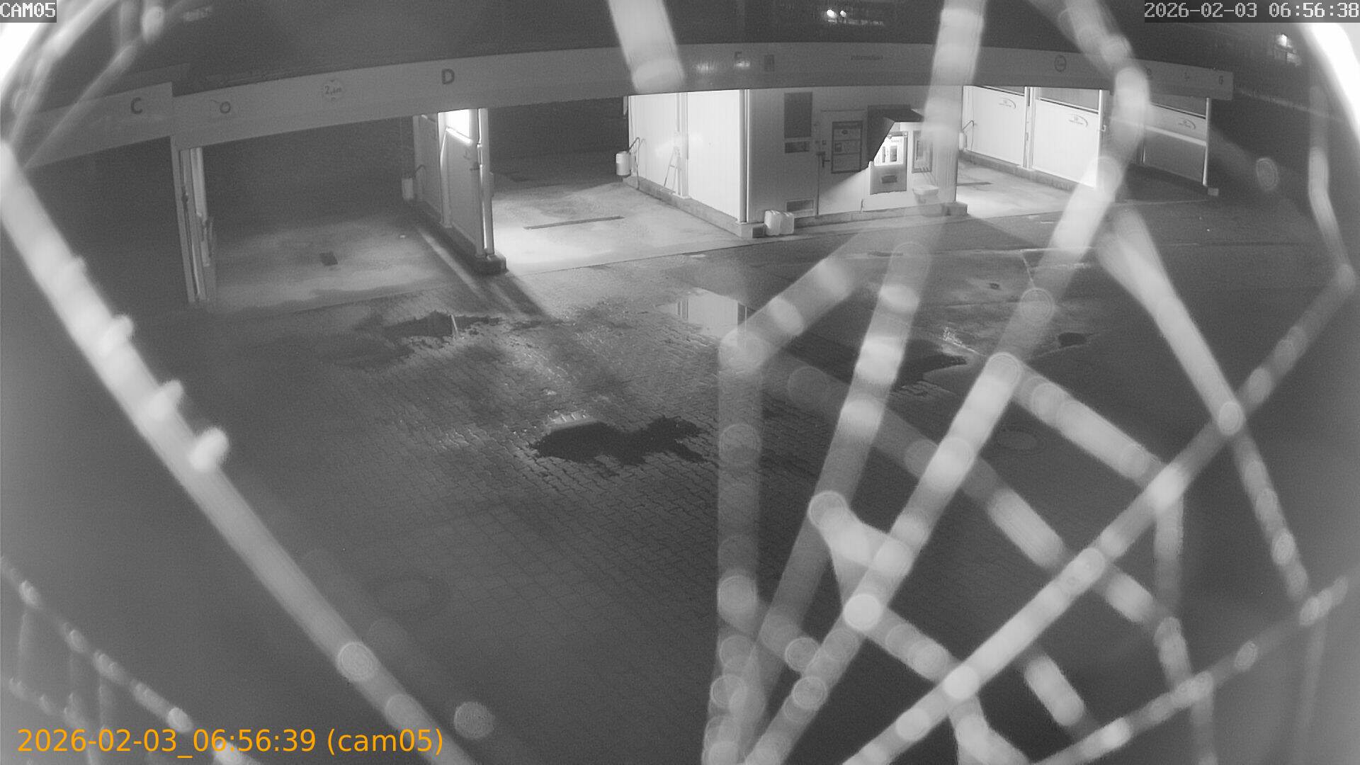 thumbnail_20260203065639