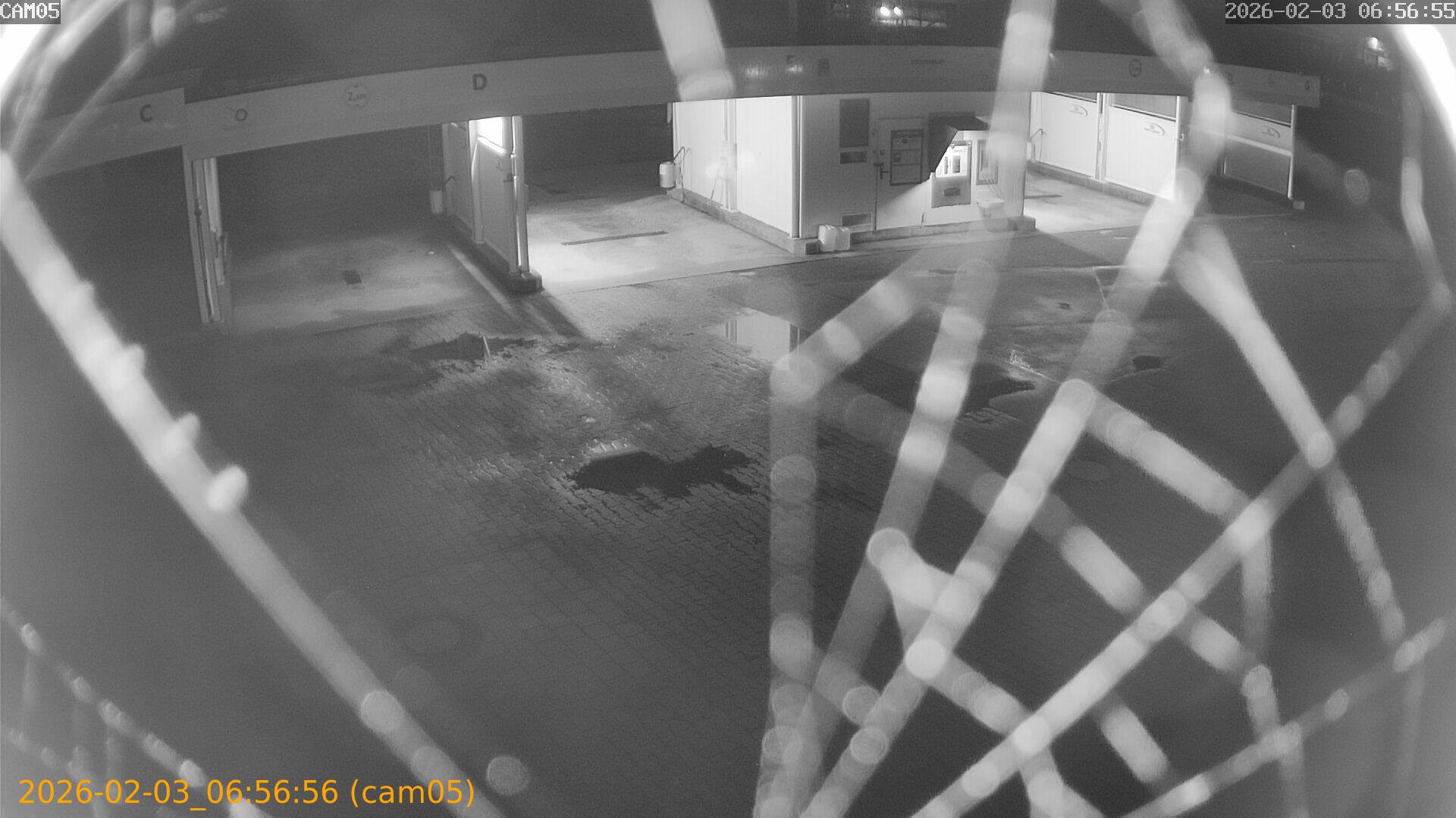 thumbnail_20260203065656