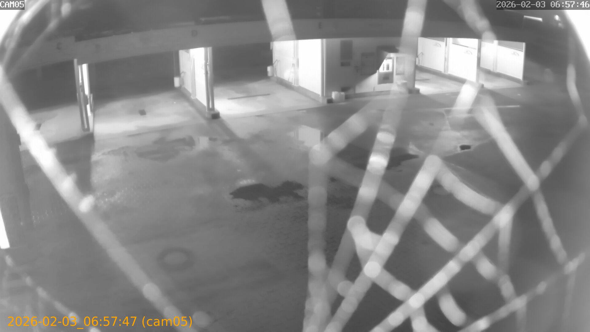 thumbnail_20260203065747