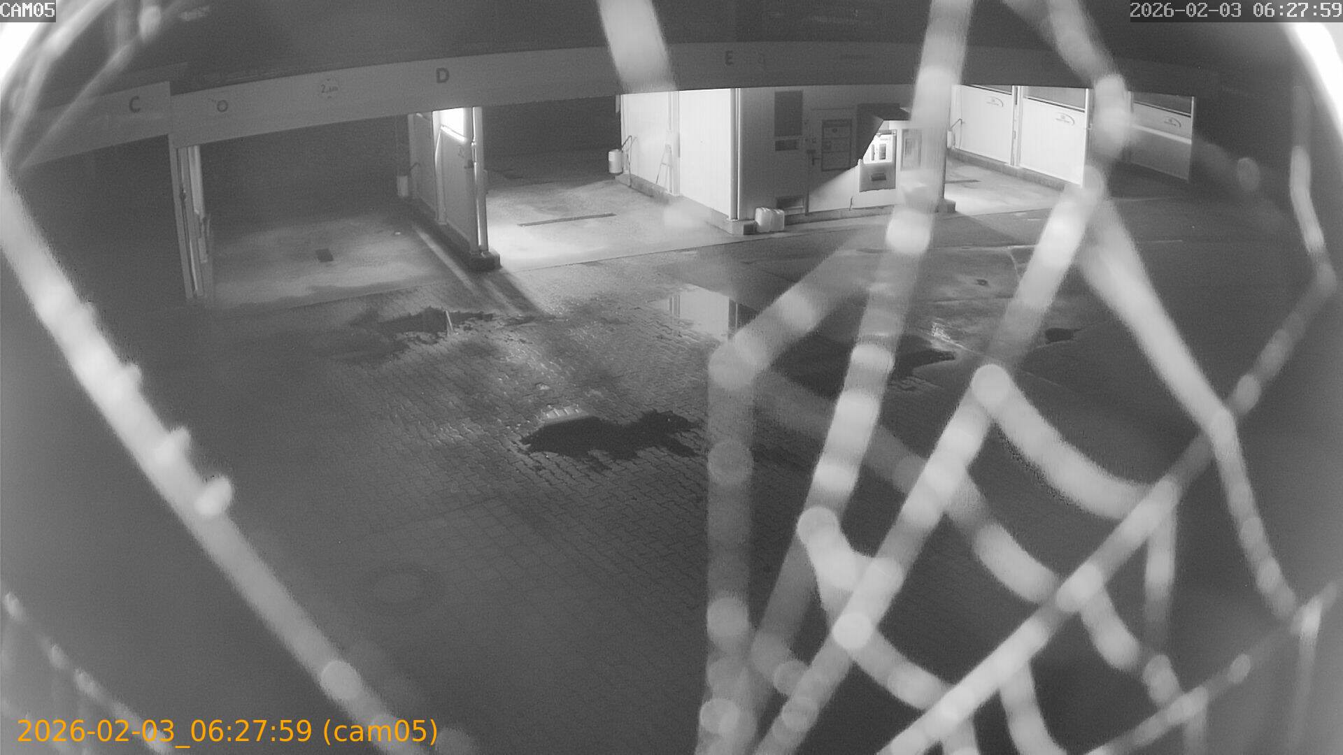 thumbnail_202602030627