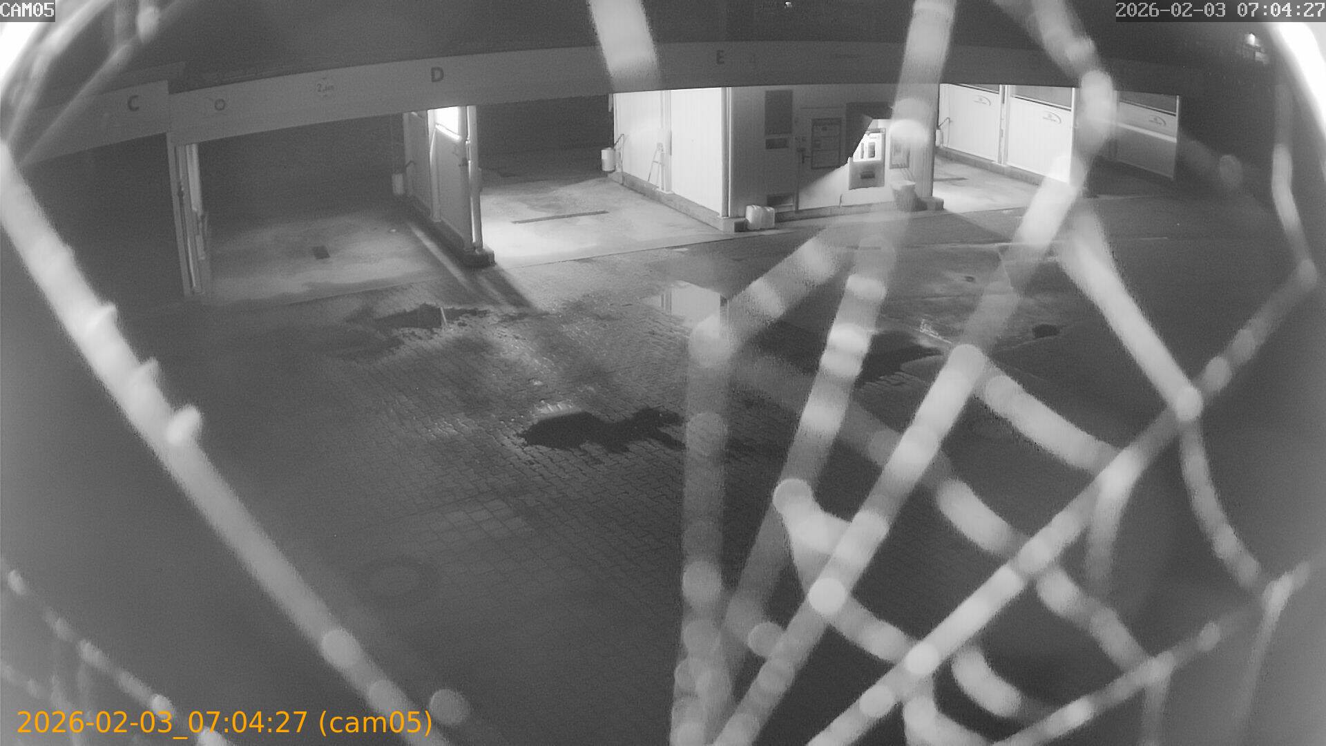 thumbnail_20260203070427