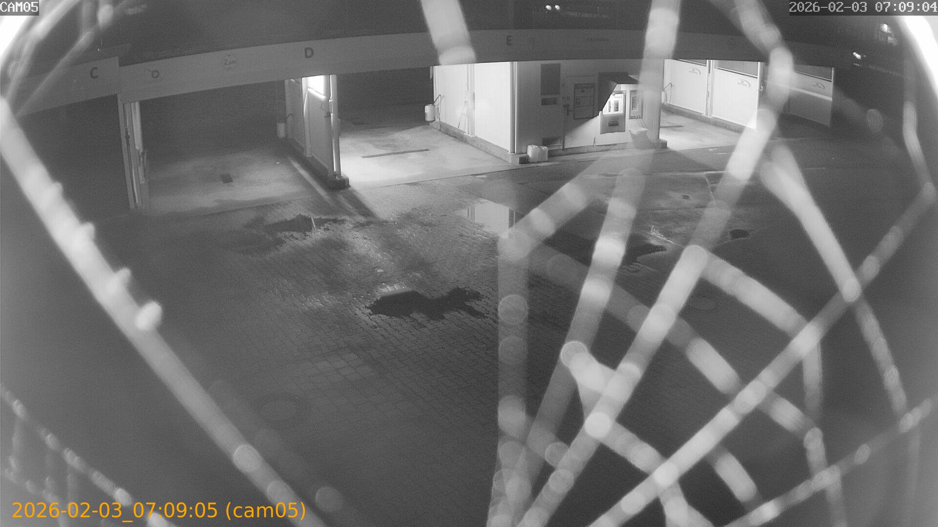 thumbnail_20260203070905