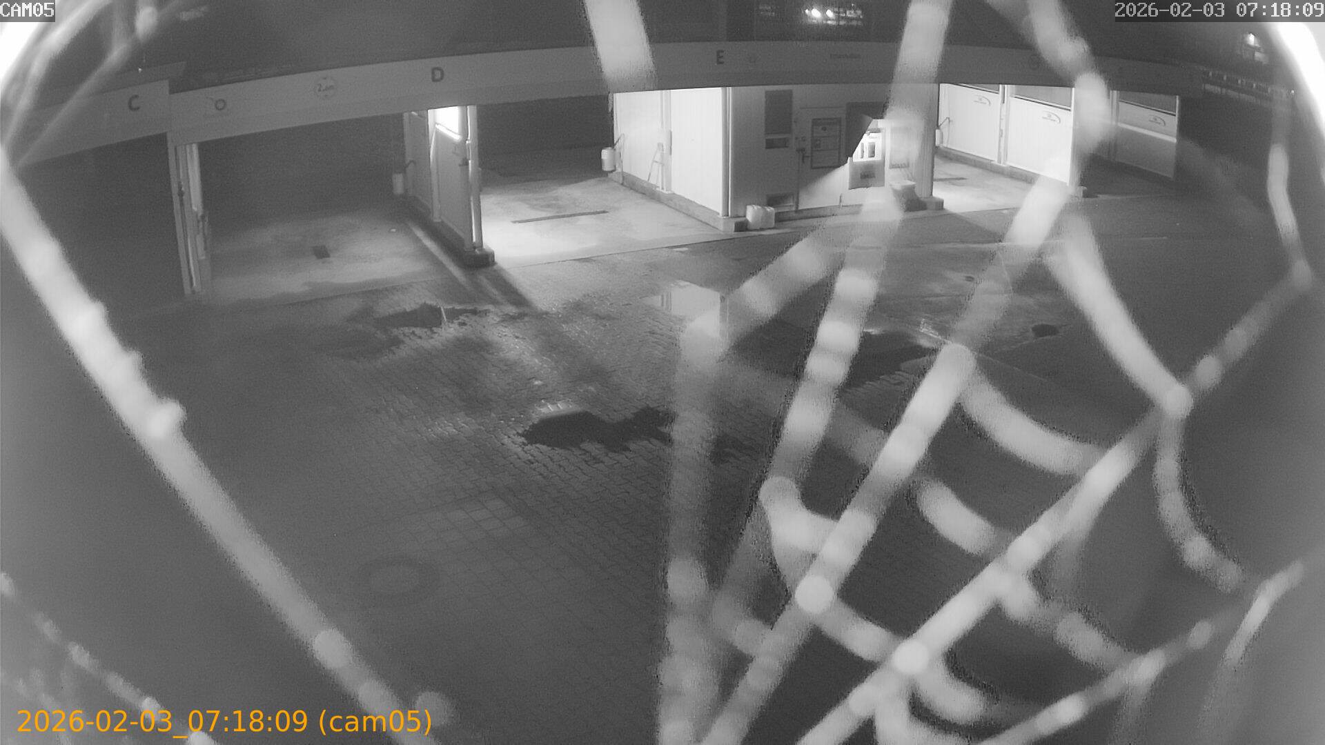 thumbnail_20260203071809