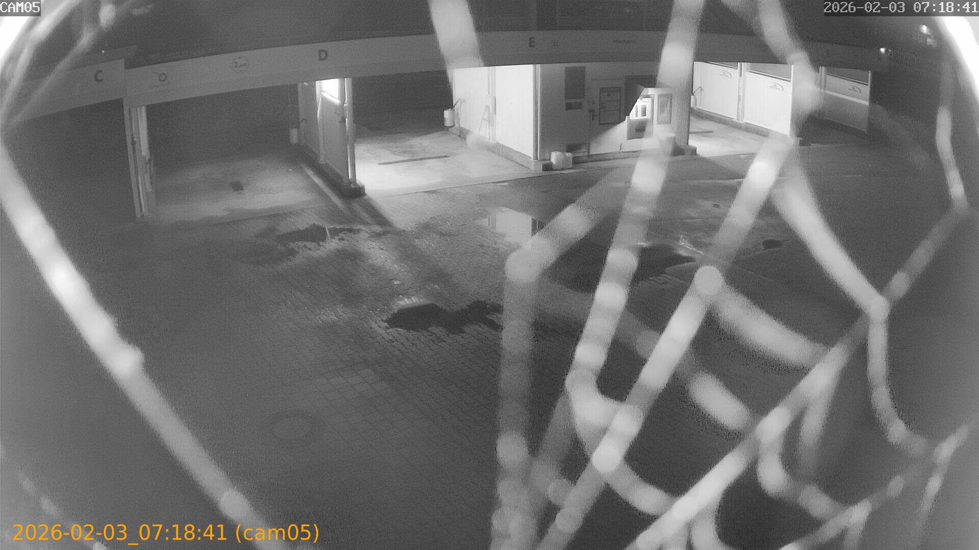 thumbnail_20260203071841